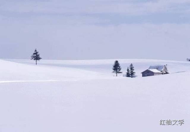 林清玄:雪的面目
