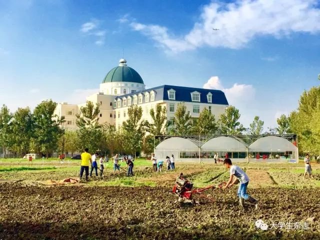 农场搬到了高校里,夜耕、“偷菜”才有趣