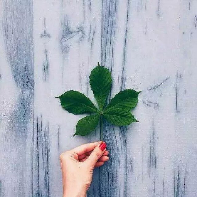 请给别人一个爱你的理由