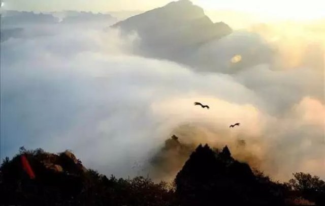 生命的最高境界。(非常精辟)