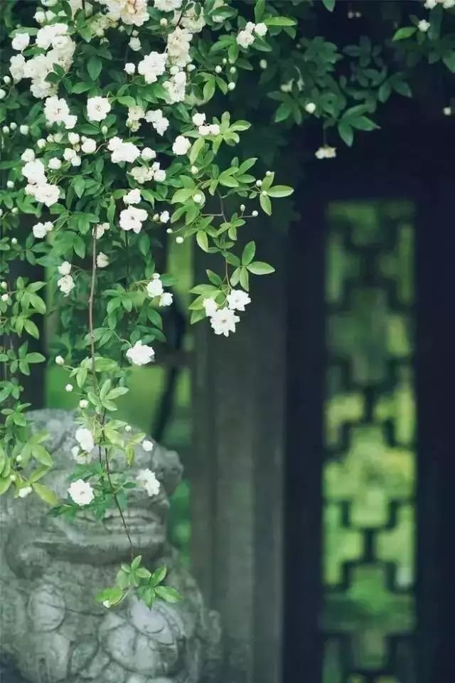 <b>这一年,你过的好吗?(深度好文)</b>