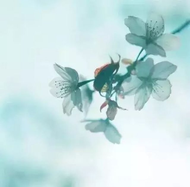 我又不欠你,对你好只是在乎你