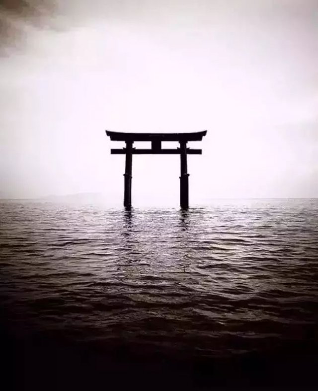 你只要做的就是做好自己,不留任何遗憾