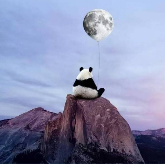 视觉|一些耐人寻味的小瞬间