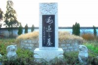毛遂简介
