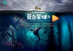 《蓝色星球2》续写纪录片经典 上海点映惊艳全场_纪
