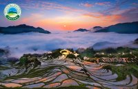 气象服务赋能高质量发展