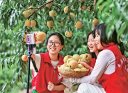 奋力书写为中国式现代化挺膺担当的青春篇章