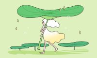 <b>新高考选物化政怎么样 有哪些优缺点</b>